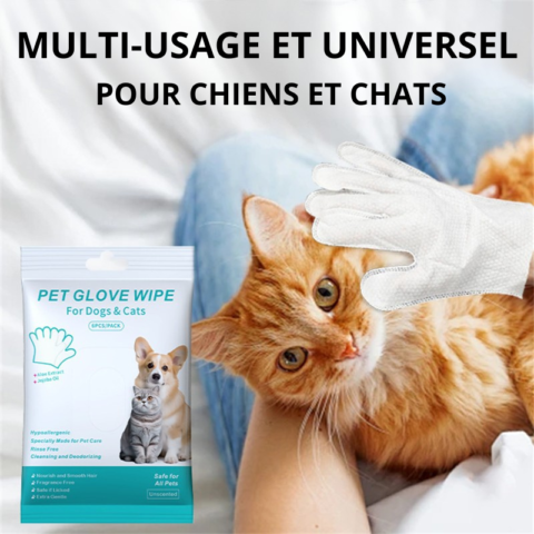 Gants jetables sans rinçage