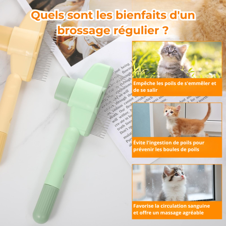 Brosse nettoyante – Massage & élimination des poils
