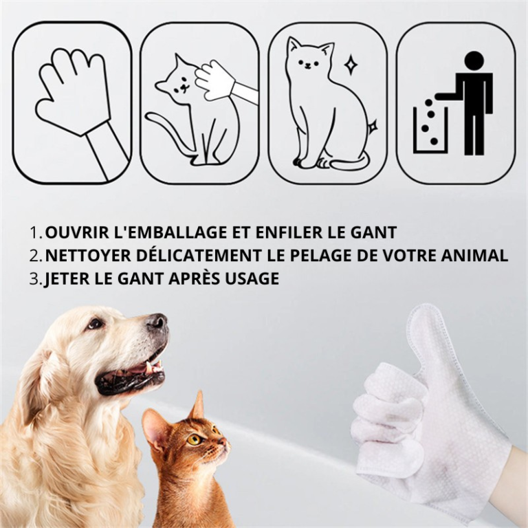 Gants jetables sans rinçage