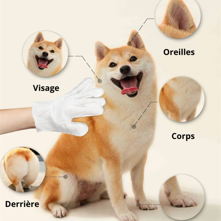 Gants jetables sans rinçage