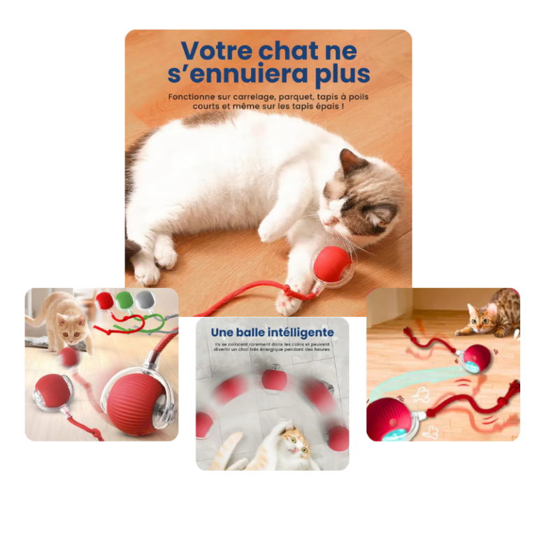 Jouet interactif pour chien et chat