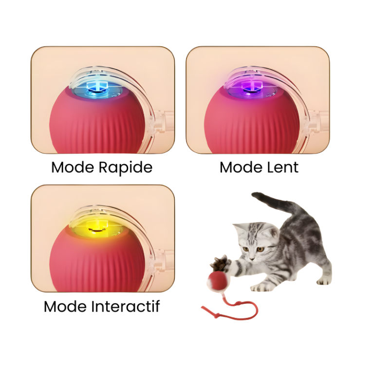 Jouet interactif pour chien et chat
