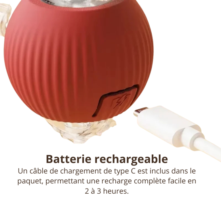 Jouet interactif pour chien et chat