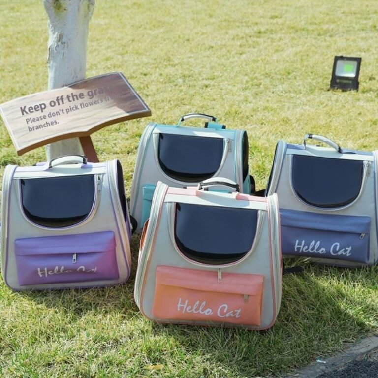 Sac à dos pour chat