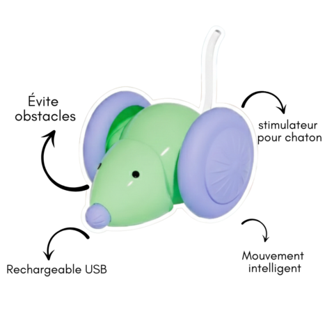 Jouet interactif pour chat – Souris électrique automatique, stimulateur pour chaton, jouet pour animaux de compagnie, rechargeable, intelligent, évite les obstacles