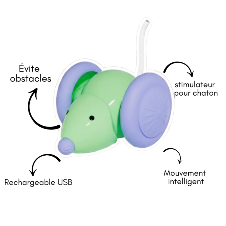 Jouet interactif pour chat – Souris électrique automatique, stimulateur pour chaton, jouet pour animaux de compagnie, rechargeable, intelligent, évite les obstacles