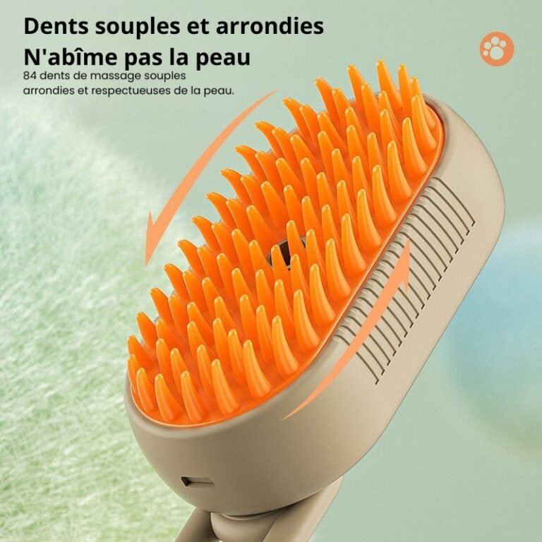 Peigne Brosse à Vapeur Autonettoyante