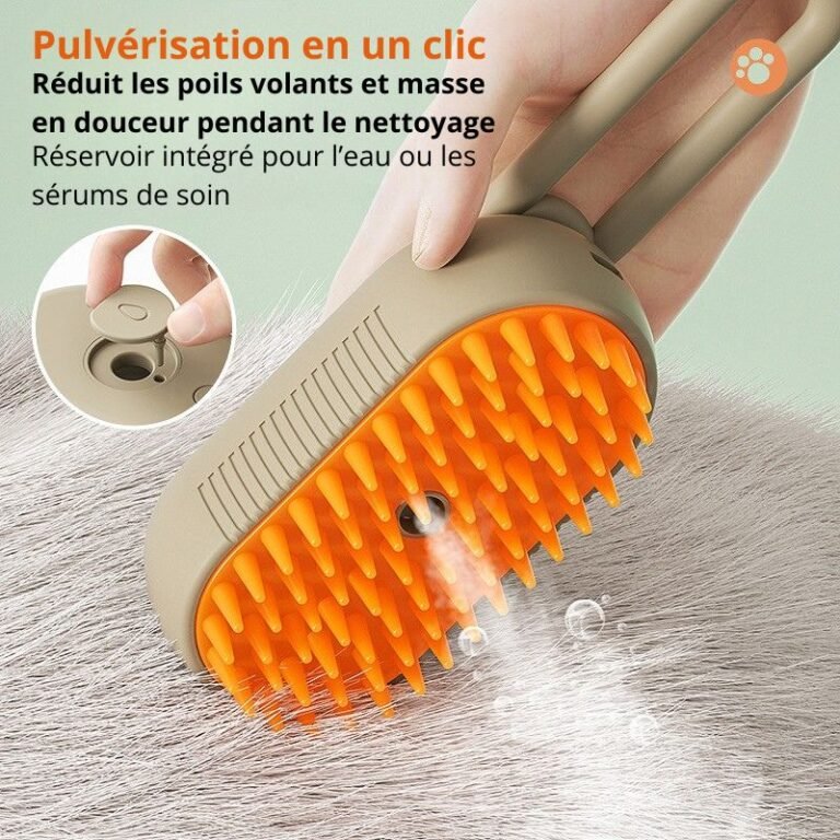 Peigne Brosse à Vapeur Autonettoyante