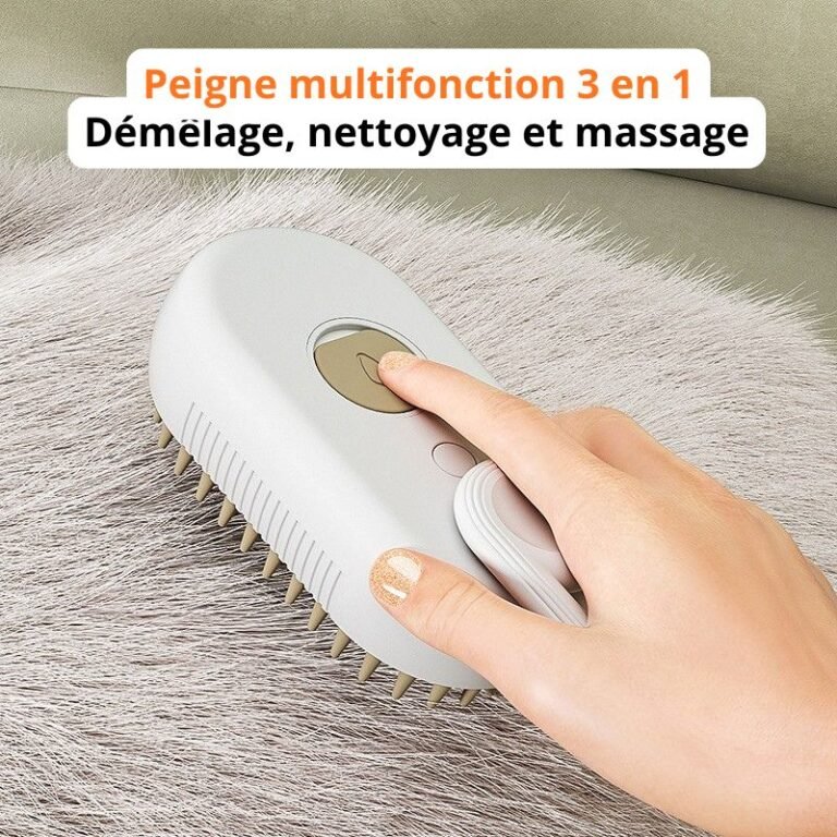 Peigne Brosse à Vapeur Autonettoyante